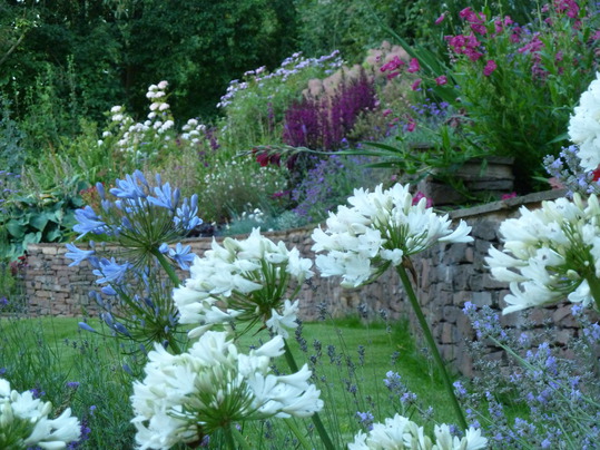 Marches Cottage Garden image 5