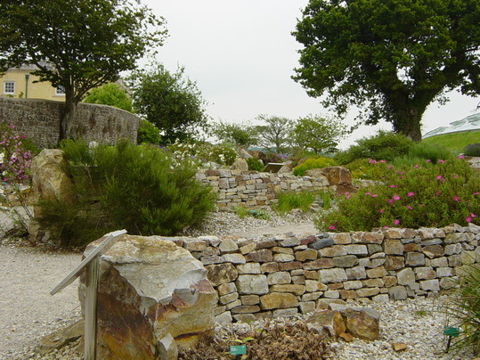 Mediterranean Garden image 4