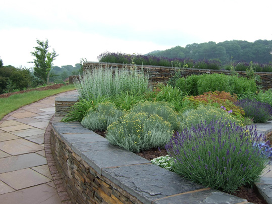 Monmouthshire Farmhouse Garden image 5