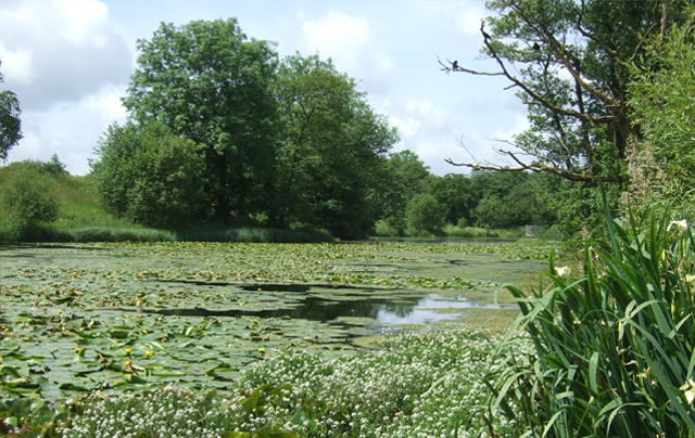 National Botanic Garden of Wales image 3