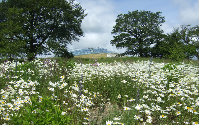 National Botanic Garden of Wales image 4