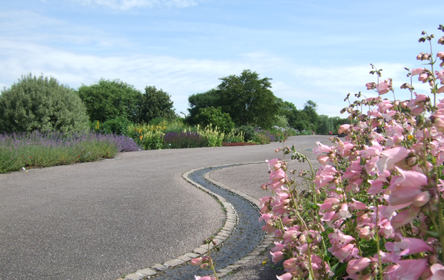 National Botanic Garden of Wales image 5