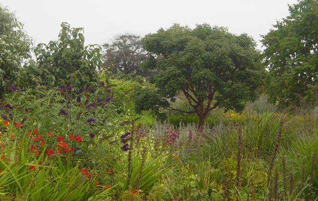 National Botanic Garden of Wales image 10