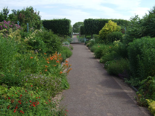 Walled Garden image 2