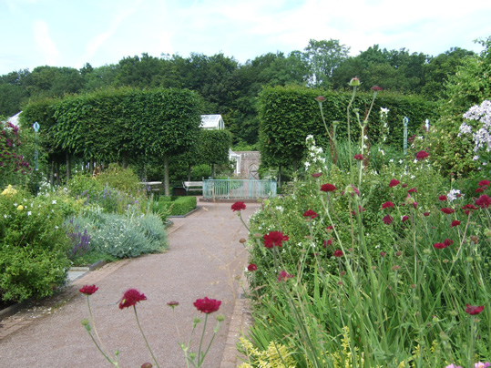 Walled Garden image 3