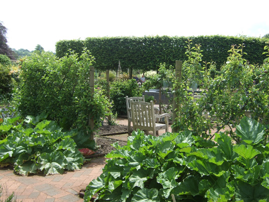 Walled Garden image 5