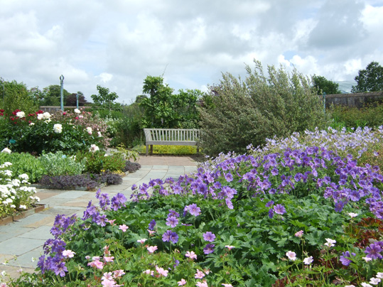 Walled Garden image 9